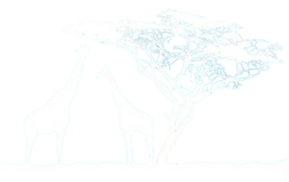 Fijnbos Hunting Safaris